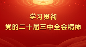 學習貫徹黨的二十屆三中全會精神
